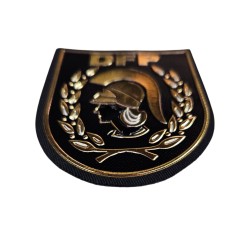 PARCHE OFICIAL DIVISIÓN DE FORMACIÓN Y PERFECCIONAMIENTO