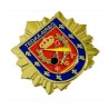 DISTINTIVO PERMANENCIA TEDAX-NRBQ POLICÍA NACIONAL