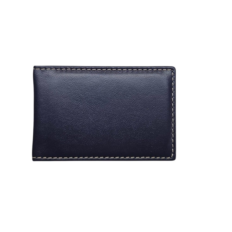 CARTERA PORTA PLACA AZUL