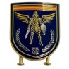 DISTINTIVO FUNCIÓN DE SEGURIDAD CIUDADANA POLICÍA NACIONAL
